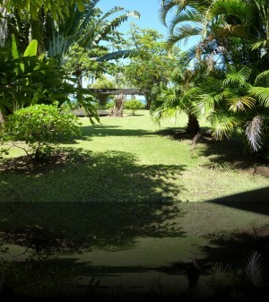 Parc du musée Gauguin
